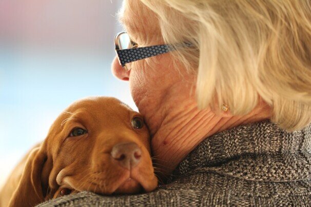 Hundewelpe auf Schulter